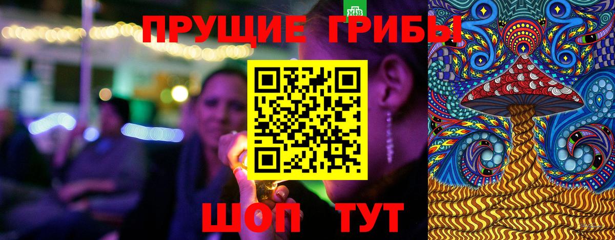 где купить наркоту  Галлюциногенные грибы MAGIC MUSHROOMS  Вход с VPN  Ртищево 